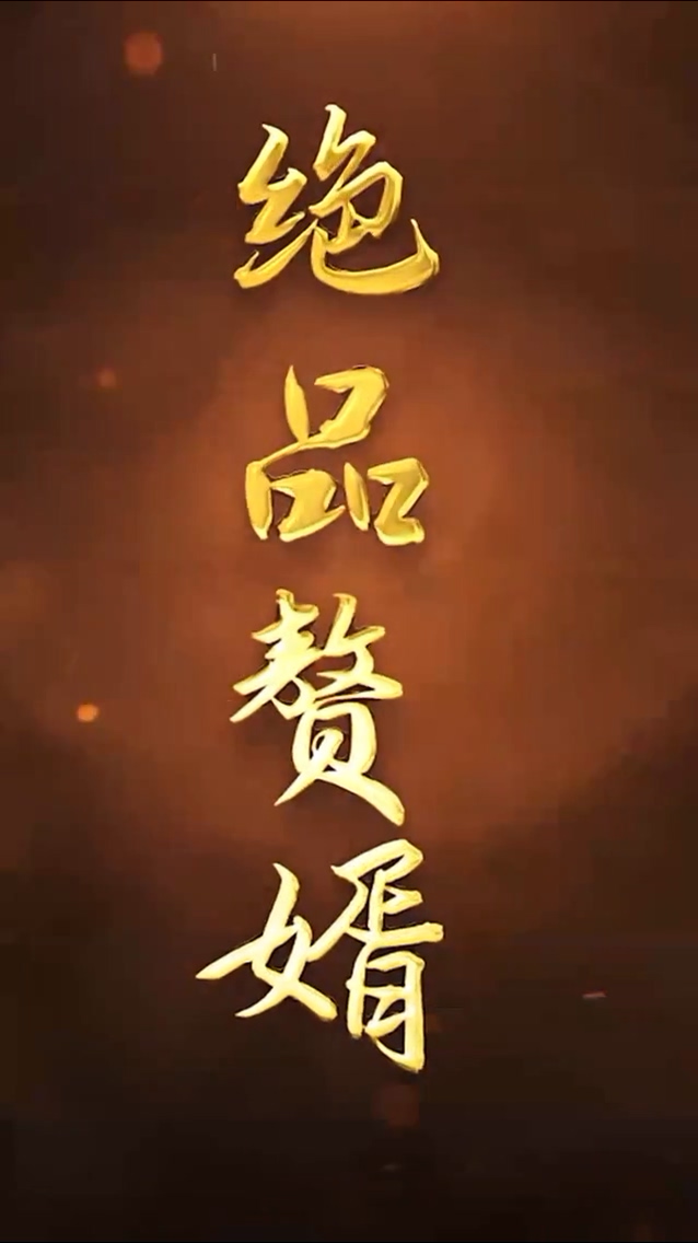 绝品赘婿第29集