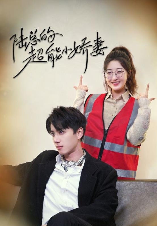 陆总的超能小娇妻第19集