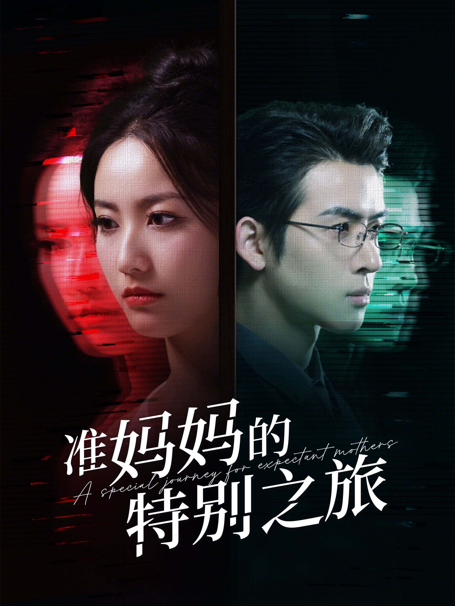准妈妈的特别之旅第76集