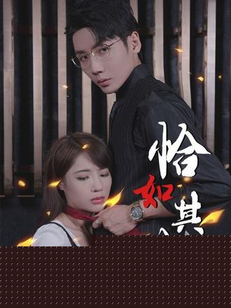 恰如其分(全集)