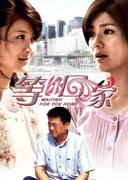 我在等你回家第27集